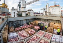 PROCEDURES AND PROCESSES FOR IMPORTING FRESH MEAT