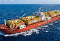 PROCEDURES AND PROCESSES FOR IMPORTING FRESH FRUIT
