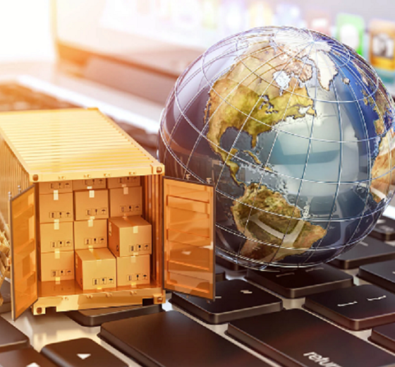 Bringing Vietnamese goods to the world through e-commerce.