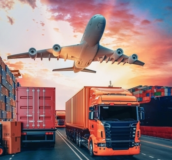 Vietnam’s Logistics on the Threshold of a $280 Billion "Mega-Industry": Infrastructure Riddles and the Role of "Leading Cranes"