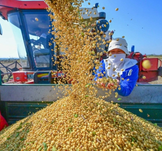Q1/2026: Imports of agricultural, forestry and fishery products reached nearly 12 billion USD.