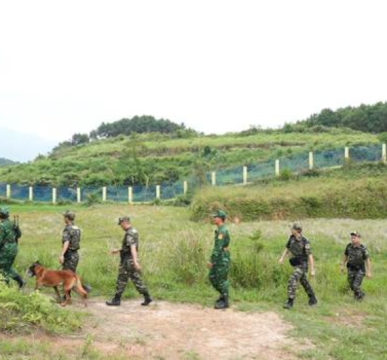 Results of the implementation of the High-Intensity Plan to combat smuggling, trade fraud, and counterfeit goods before, during, and after the Lunar New Year of the Year of the Horse 2026.